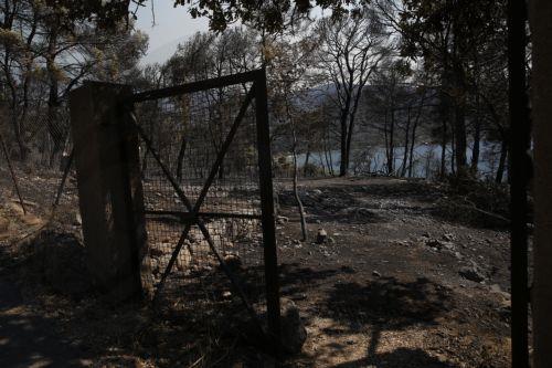 Στον ανακριτή την Τρίτη οι δύο συλληφθέντες για τη μεγάλη πυρκαγιά στη Βοιωτία