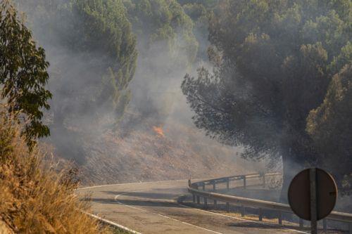 Τα οστά μεσαιωνικών βασιλέων σώθηκαν από πυρκαγιά στην Ισπανία