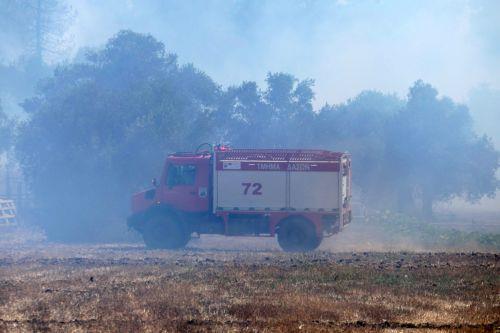 Υπό πλήρη έλεγχο δασική πυρκαγιά στην Κάτω Μονή