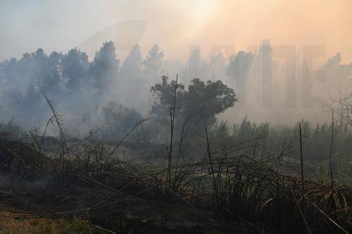 Συνεχίζεται η μάχη με τις φλόγες στη Σίβηρη της Χαλκιδικής, φόβοι για επέκταση προς Ελάνη