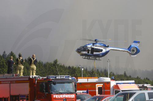 Επείγει η αλλαγή προς μικτά δάση, τονίζει το Γερμανικό Συμβούλιο Δασοκομίας
