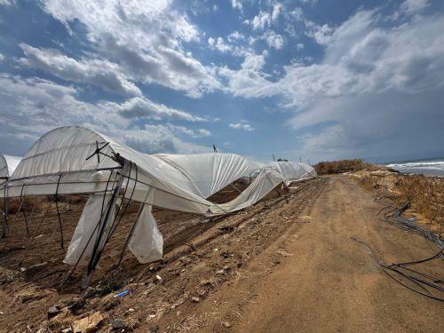 Καταγράφηκαν 45 αναγγελίες ζημιών στην επαρχία Πάφου λέει στο ΚΥΠΕ λειτουργός του Τμ. Γεωργίας