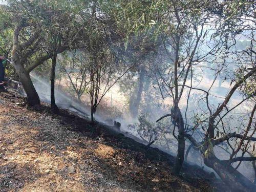 Υπό έλεγχο πυρκαγιά που ξέσπασε τα ξημερώματα στην περιοχή υδατοφράκτη Προδρόμου