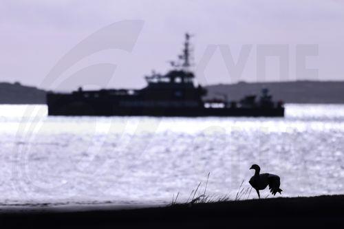Ο στρατός των ΗΠΑ λέει ότι «εξουδετέρωσε» φορτηγό πλοίο στον Κόλπο του Ομάν