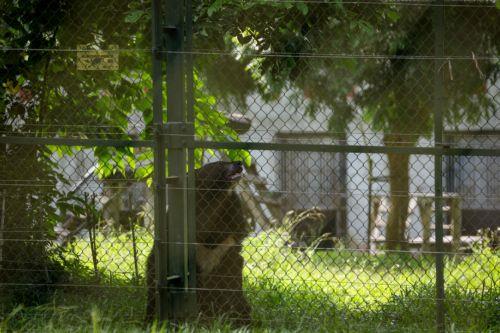 Υπάρχουν δικαστικές αποφάσεις για το Melios Zoo λέει ο Μυριάνθους, δεν είχα την παραμικρή παρατήρηση για εγκαταστάσεις λέει ο ιδιοκτήτης