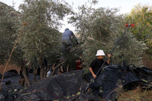 Επέστρεψαν στη χώρα τους 5 Ιταλοί ακτιβιστές που είχαν συλληφθεί από ισραηλινές δυνάμεις