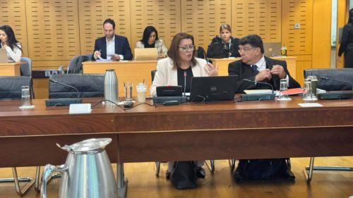 Αύξηση 5% στον προϋπολογισμό του ΥΠΑΝ για το 2027, είπε η ΥΠΑΝ στη Βουλή
