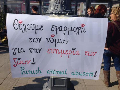 Τραγικά λάθη και παραλείψεις επιφέρουν τον θάνατο αθώων ζώων λέει το Κόμμα για τα Ζώα