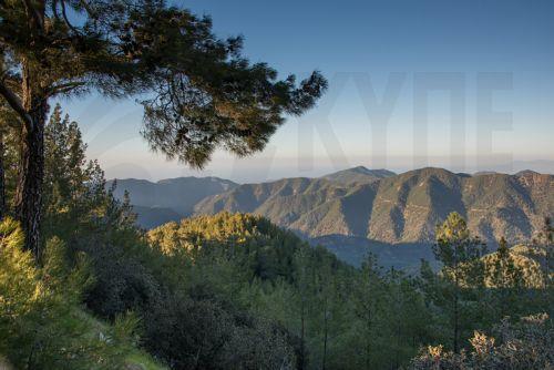 Αναμένεται αύξηση χειμερινών προγραμμάτων μεγάλων διοργανωτών ταξιδίων, είπε στο ΚΥΠΕ ο Κουμής