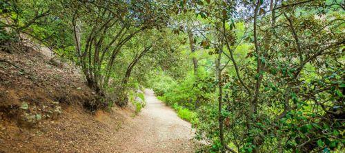 Κλειστό «μέχρι νεωτέρας» το Μονοπάτι «Φαράγγι του Άβακα»