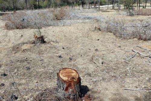 Τον ψηλότερο δείκτη λειψυδρίας στην ΕΕ είχε η Κύπρος το 2022 σύμφωνα με τη Eurostat