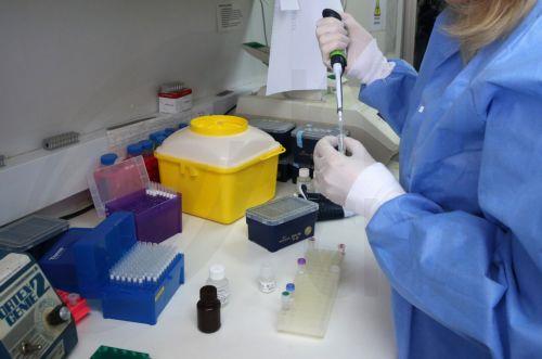 Νέα εξέταση που αναβαθμίζει τον προεμφυτευτικό έλεγχο ανέπτυξαν ερευνητές ΙΝΓΚ