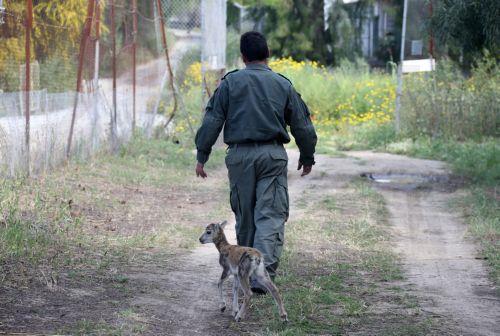 Υπηρεσία Θήρας - Αστυνομία δεν έλαβαν στοιχεία για καταγγελίες περί διαφθοράς, λένε στο ΚΥΠΕ