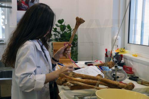 Cumhurbaşkanlığı Komiserliği Ofisi: Uluslararası camia kayıp kişilerin ailelerine sözünü yerine getirmelidir