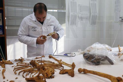 European Commission signs €2.6 mln agreement with UNDP to support CMP efforts