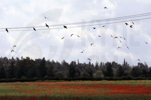 Συνάντηση Θεοδοσίου με Αν. Έπαρχο Πάφου για ένταξη κοινοτήτων σε Δίκτυο της Unescο