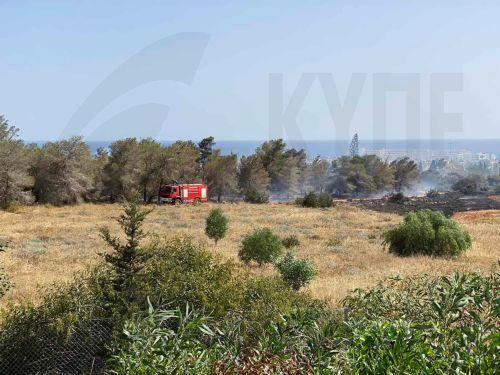 Fire on Friday started from a pile of garbage, Fire Service Spokesman tells CNA, calling on people to be very careful