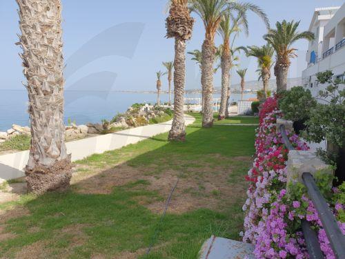 Ολοκληρώθηκαν στην Πάφο οι εργασίες της 91ης Γενικής Συνέλευσης της HOTREC