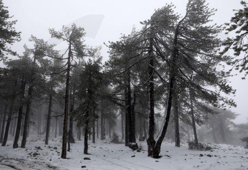 Μόνο για οχήματα με τετρακίνηση ή αλυσίδες οι δρόμοι προς το Τρόοδος