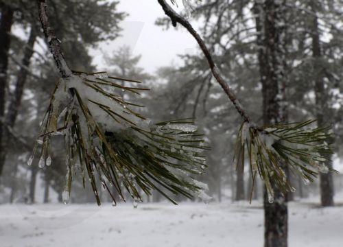 Μόνο για οχήματα 4Χ4 ή με αντιολισθητικές αλυσίδες ανοικτοί οι δρόμοι προς Τρόοδος