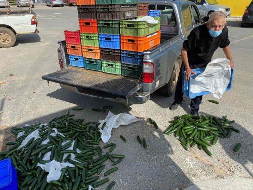 Επιδοτήσεις 60 εκ. ευρώ σε γεωργούς τον Δεκέμβριο, λέει ο Ξενοφώντος