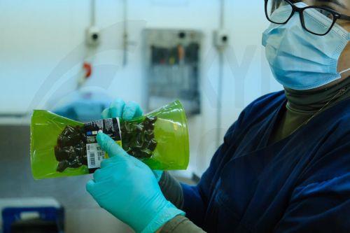 Research and Innovation Foundation launches new funding call for businesses