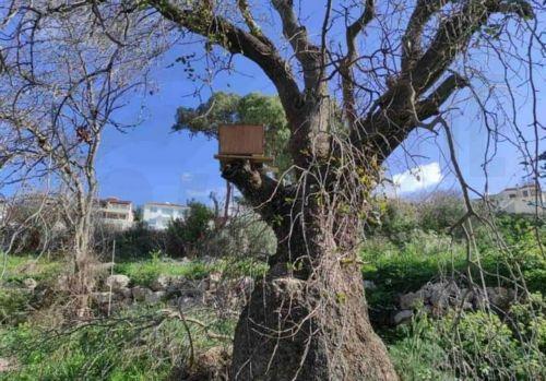 Παρουσίαση βιβλίου «Ο Κήπος της Ελπίδας» στη μνήμη Τεύκρου Κουλουντή στη Χλώρακα