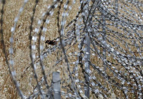 Έχει ξεκινήσει η ενεργοποίηση των μέτρων, λέει ο ΚΕ για νεκρή ζώνη Αγ. Δομετίου