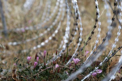 ΠτΔ: H Σ. Ουλουντάγ εργάστηκε με συνέπεια υπέρ ειρηνικής συνύπαρξης Ε/κ και Τ/κ