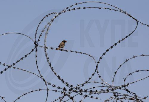 Deneia Muhtarı: İşgal kuvvetleri bölgedeki çalışmalarına devam ediyor