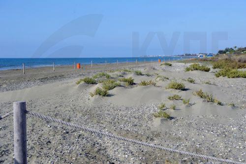 Ανάκληση διατάγματος εκπαίδευσης σκύλων σε περιοχές Natura ζητεί η Επ. Περιβάλλοντος