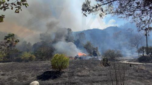 Ανάγκη για αυστηρές ποινές δείχνει πρόσφατη δικαστική απόφαση για εσκεμμένη πρόκληση φωτιάς, λέει η ΝΥ
