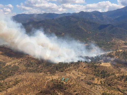 Αναμένονται τα δύο ελικόπτερα που εκμίσθωσε το Τμήμα Δασών για σκοπούς πυρόσβεσης
