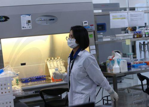 Ευρήματα μελετών σε ποντίκια για τον ρόλο του προμετωπιαίου φλοιού στη νευροποικιλότητα