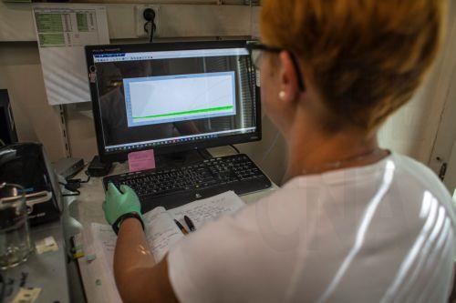 اكتشاف علمي بجامعة قبرص يكشف دور الكالسيوم في نمو الأنسجة وتجديدها