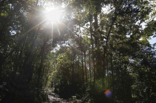 Εντοπίστηκαν σώοι δύο νεαροί που χάθηκαν σε μονοπάτι στο Τρόοδος
