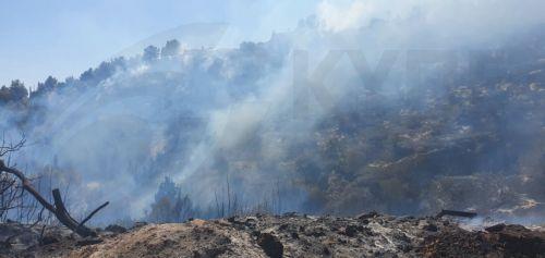Kıbrıs Cumhuriyeti Türk işgali altındaki bölgelerde meydana gelen yangının söndürülmesine yardımcı olmaya hazır