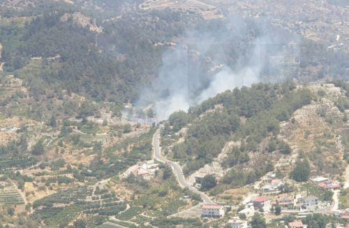 Μικρή έκταση άγριας βλάστησης έκαψε πυρκαγιά στην Αναφωτία