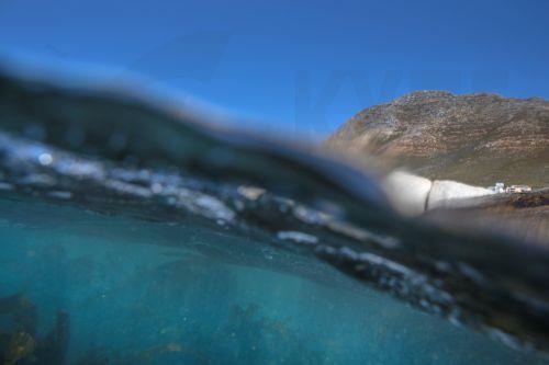 Ρομπότ επιστρατεύονται για αναζήτηση σπάνιων μετάλλων στους ωκεανούς