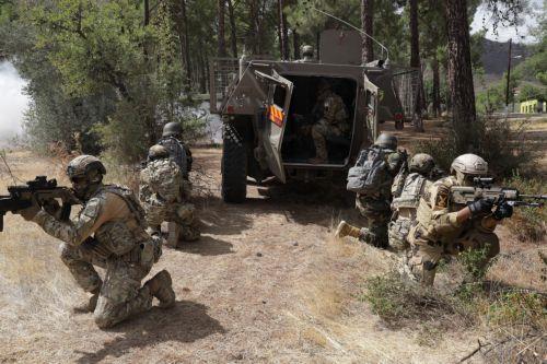 National Guard and Egypts Armed Forces take part in small scale training exercise