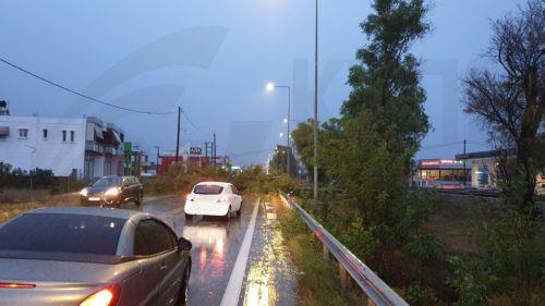 Σε επιφυλακή η Πυροσβεστική λόγω καιρού, δεν προέκυψαν σοβαρά προβλήματα