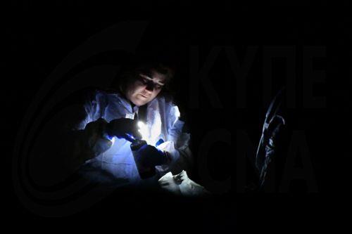 Νέα έκθεση στο Λονδίνο ρίχνει φως στην ζωή της διάσημης Άγκαθα Κρίστι