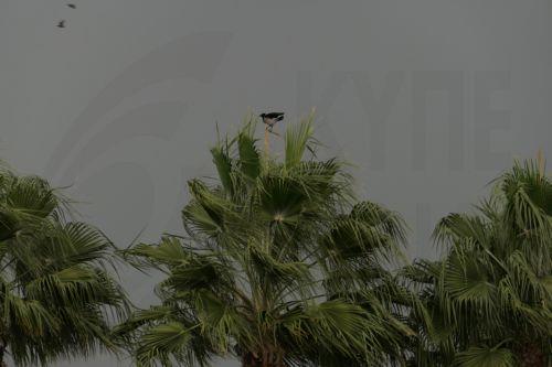 Meteoroloji Dairesi’nden yeni sarı uyarı