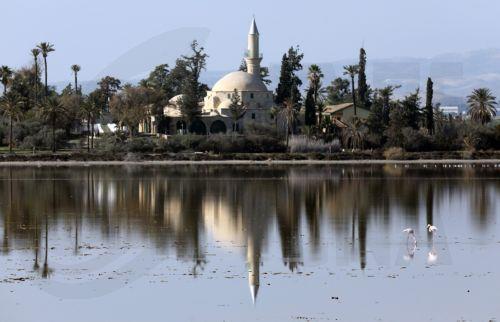 Late Roman surface material found at Larnaca Salt Lake area