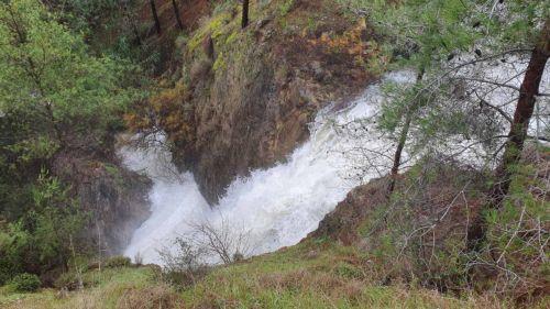 Dam levels worrisome, this is a drought year Water Development Department official tells CNA