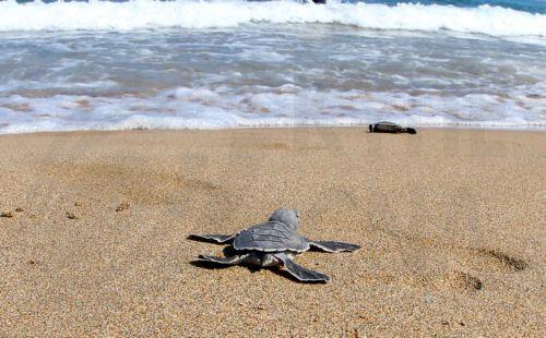 Οι περιβαλλοντικοί έλεγχοι που διενεργεί για τον Ακάμα είναι με βάση τα σχετικά πρότυπα του INTOSAI, λέει η Ελεγκτική Υπηρεσία