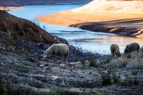 Στόχος η αξιοποίηση και της «τελευταίας σταγόνας» ανακυκλωμένου νερού λέει το ΤΑΥ
