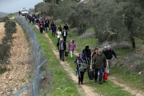 Πέντε είδη δέντρων αποτελεσματικά για μείωση θερμοκρασίας στις πόλεις, σύμφωνα με μελέτη