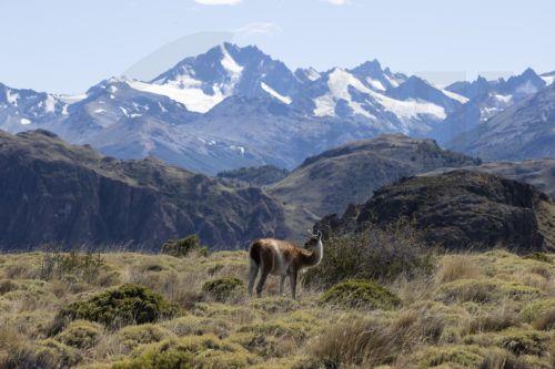 Στην κορυφή της Ανταρκτικής θα βρεθεί η κυπριακή σημαία