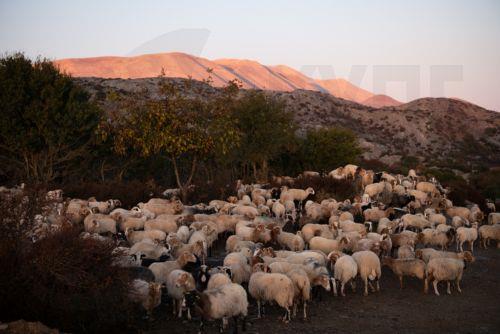 Cyprus’ bid to join World Network of Biosphere Reserves enters key implementation phase